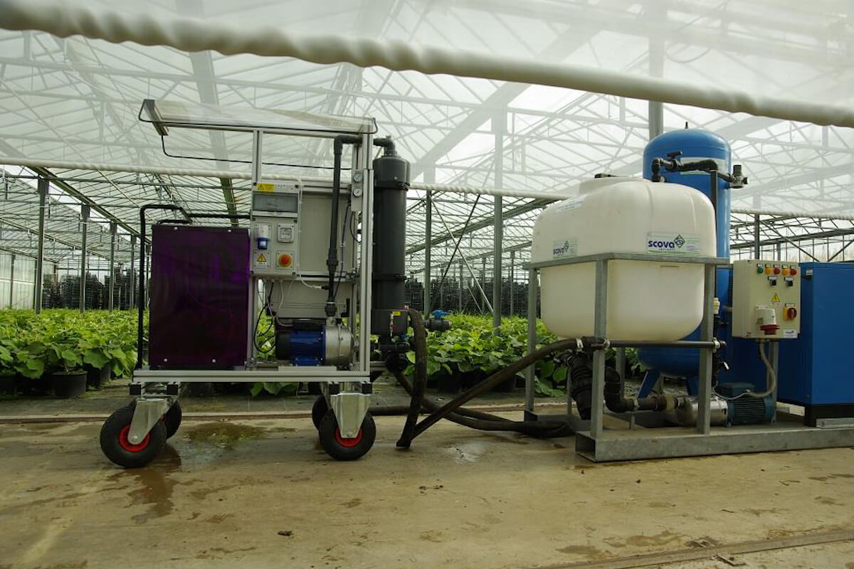 Impianto per l'ozonoterapia in vivaio unificato a quello per l'irrigazione per aspersione delle piantine